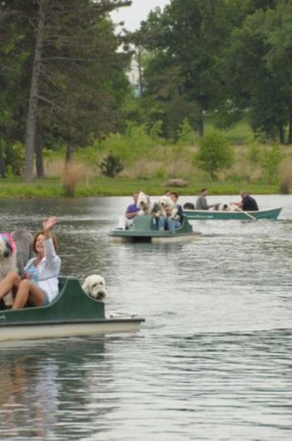 /images/events/12/pond full of boats.jpg